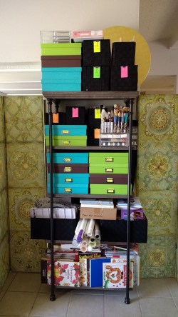 organizing-pic-1